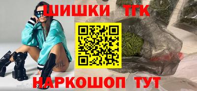 гидропоника Камышлов