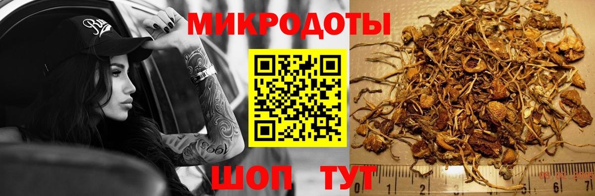 Лабытнанги  Псилоцибиновые грибы мицелий  Вход с VPN 